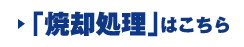 「焼却処理」はこちら